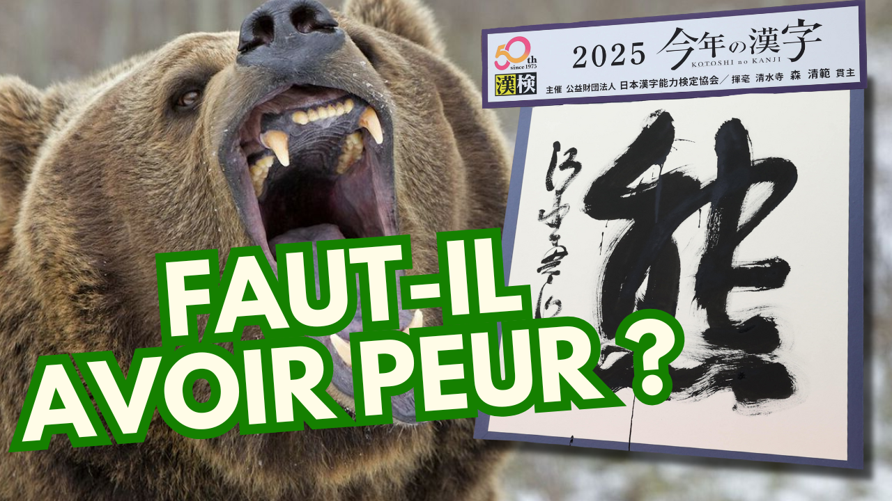 Pourquoi les ours attaquent de plus en plus au Japon ?